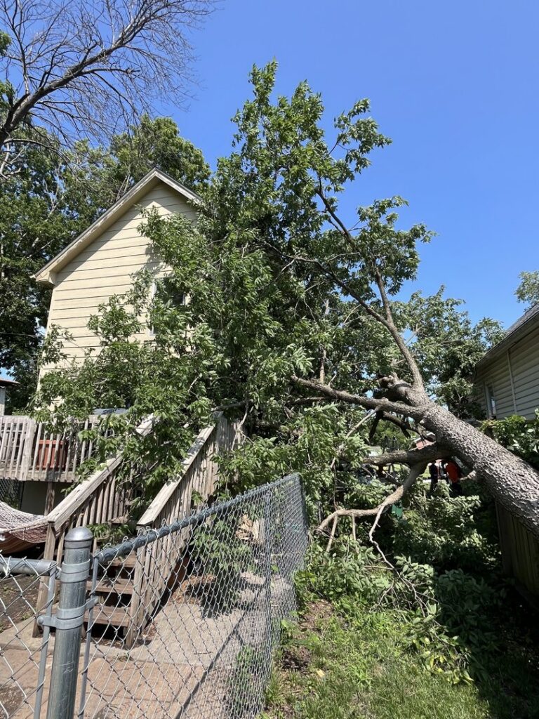 Workers using a chainsaw and stump grinder for stump removal services by Rothman Tree Service in Des Moines, IA.