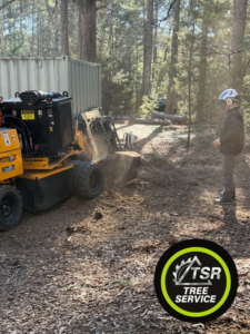 A TSR Tree Service, LLC operator using a stump grinder for tree removal in Wake Forest, NC.