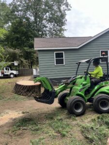 A green utility loader removing a large tree stump with a grapple attachment for Trail Based Tree Service in Schenectady, NY.