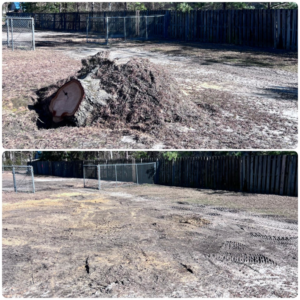 Before and after of a tree stump and root ball clearing service by Robert & Sons Tree Service in Augusta, GA