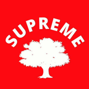Supreme Tree Service