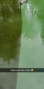 A split image showing a surface before and after power washing by Superior Power Wash in Danbury, CT.