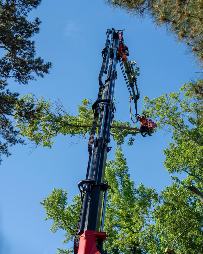 A tall crane with a grapple saw attachment cutting a tree branch against a blue sky for Explore Tree Service in Durham, NC.