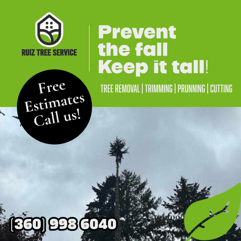A very tall tree trunk, partially de-limbed, indicating a tree removal or topping service by Ruiz tree service in Vancouver, WA.