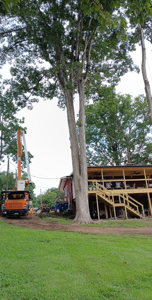 A tall tree next to a residential property with a bucket truck from Joel's tree service on site in Greensboro, NC