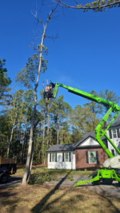 A TreeWorld crew member in Jacksonville, FL, prunes a tall tree using a green boom lift near a residential home.