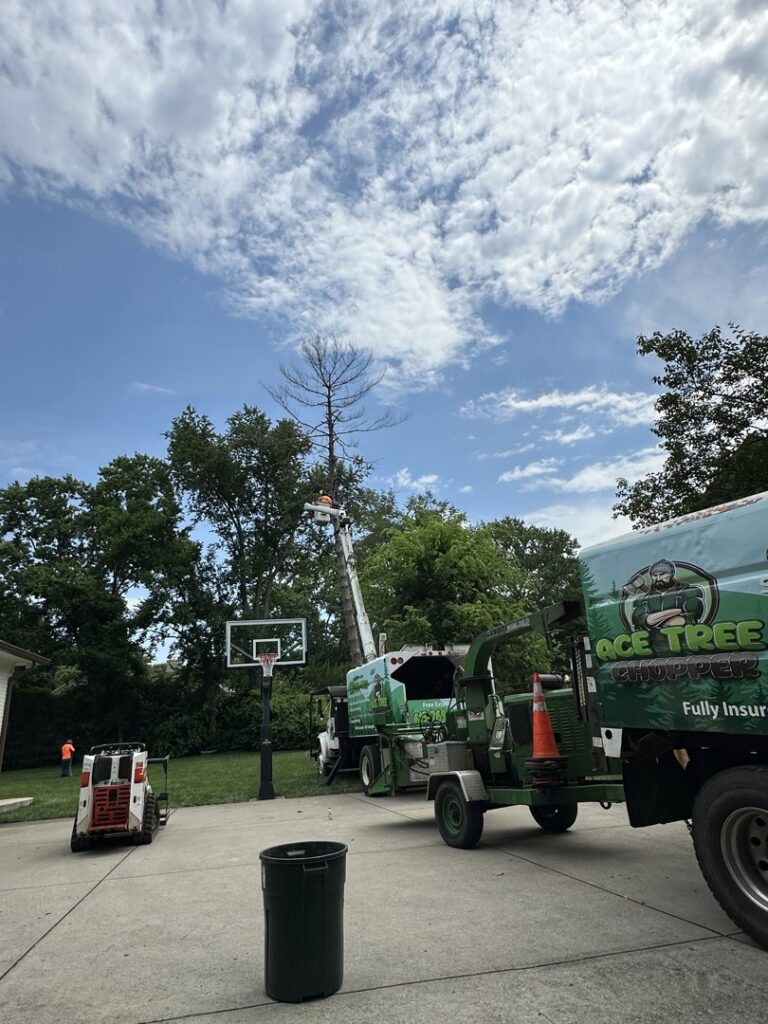 A tall tree being trimmed by a worker in a bucket truck with a chipper and bobcat on site for Ace Tree Chopper in Nashville, TN.