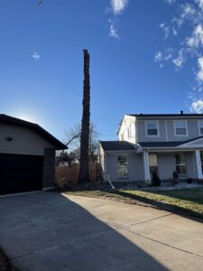 A tall, bare tree trunk standing next to a house, showing the result of a professional tree removal by Langley's Tree Specialist in Greeley, CO.