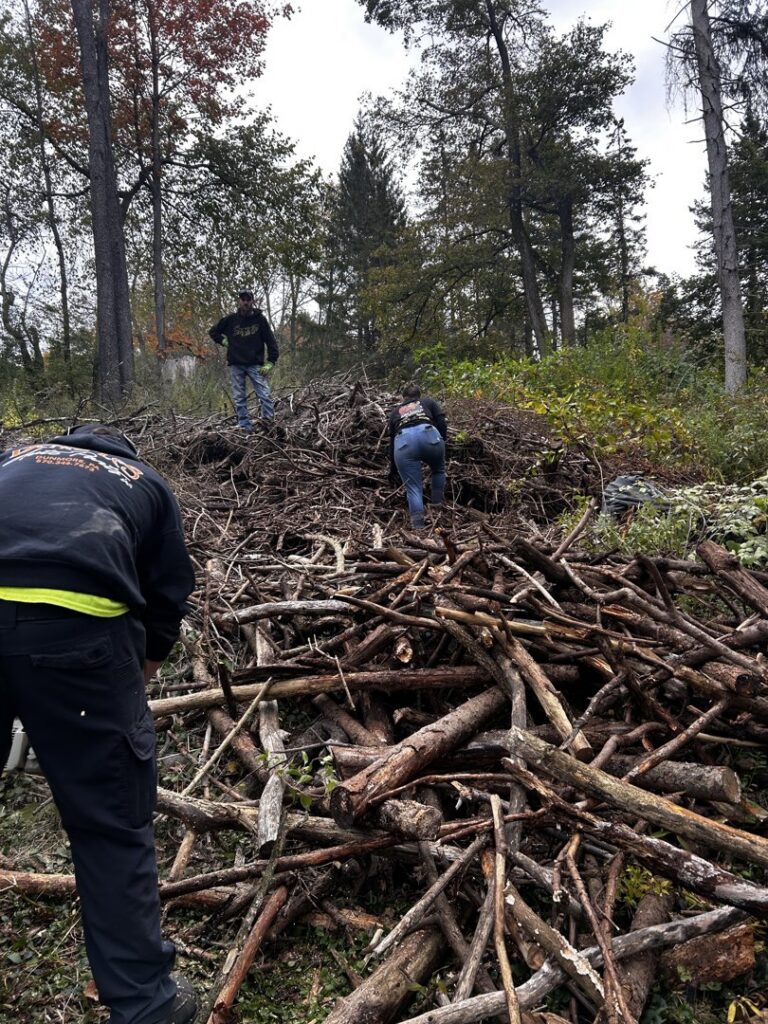 A team from Just Junk It clearing a large pile of brush and tree branches in a wooded area in Lancaster, PA.