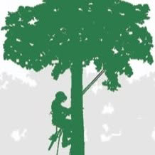 Tip Top Tree Care