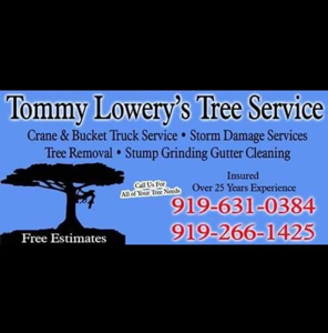 Tommy Lowery’s tree service