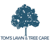 Tom’s Lawn and Tree Care