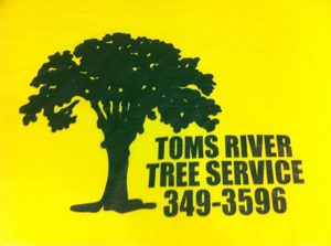 Toms River Tree Service, LLC