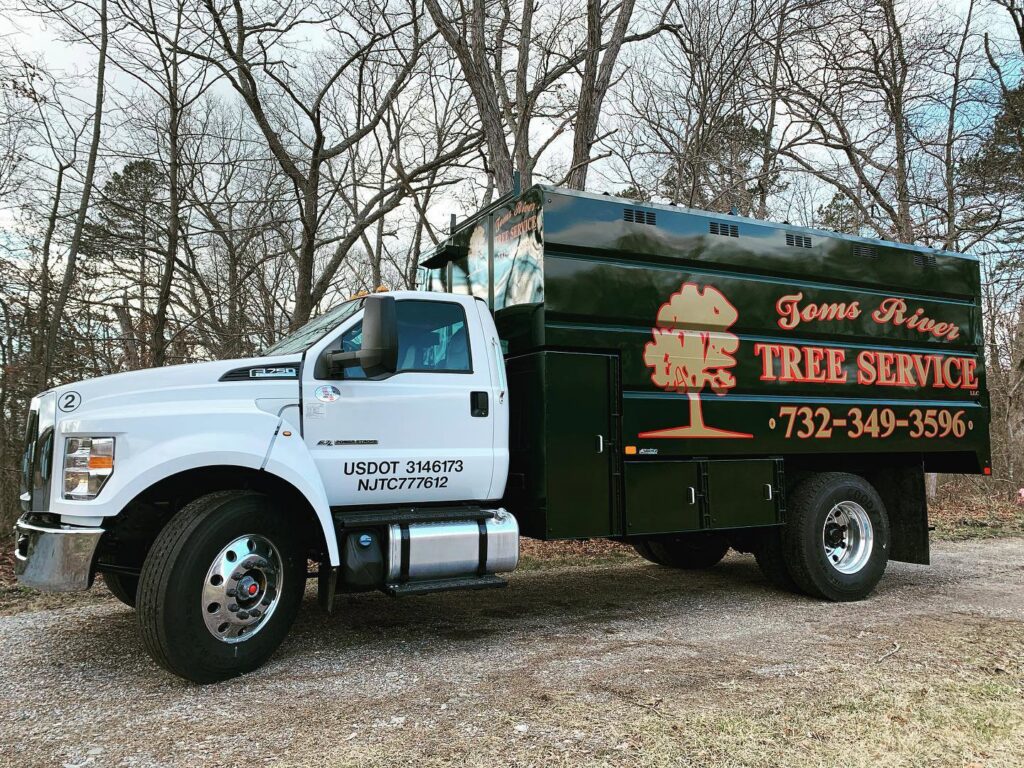A professional tree service truck with the Toms River Tree Service, LLC logo, ready for work in Toms River, NJ.