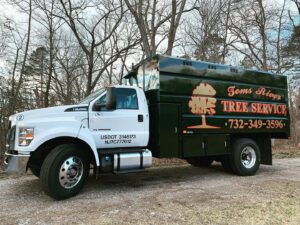 A professional tree service truck with the Toms River Tree Service, LLC logo, ready for work in Toms River, NJ.