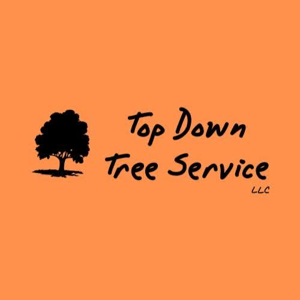 Top Down Tree Service LLC