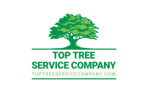 Top Tree Service Company