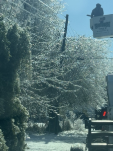 A Toten Tree Service crew member in a bucket truck clearing storm-damaged, ice-covered trees in Greenville, MS.