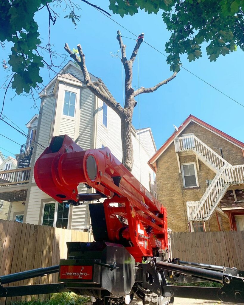 A red tracked lift positioned next to a large tree undergoing pruning services in a residential area by Lake Forest Tree Service LLC in Milwaukee, WI.
