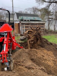 A red tractor with an excavator attachment digging out a tree stump for Getting Trashed Dumpster Rentals & Excavation in Assonet, MA.