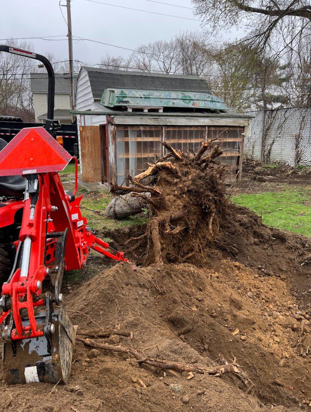 A red tractor with an excavator attachment digging out a tree stump for Getting Trashed Dumpster Rentals & Excavation in Assonet, MA.