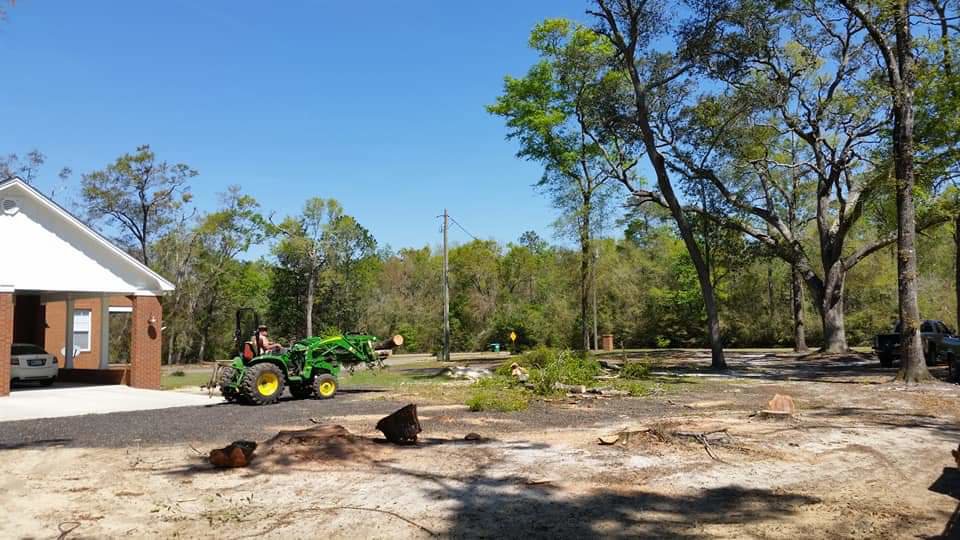 A tractor with a front loader moving a large log, demonstrating tree clearing services by Abbott Tree removal in Tallahassee, FL.
