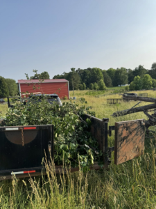 A trailer filled with green branches and yard waste in a field, handled by JR's Rapid Junk Removal in Cary, NC