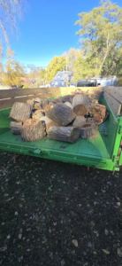 A green trailer bed filled with freshly cut tree logs, ready for removal by Hemlock Tree Service in Sioux City, IA