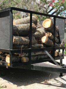 A trailer filled with freshly cut logs and branches, ready for hauling away after tree removal services in Austin, TX by Ozark of Austin.