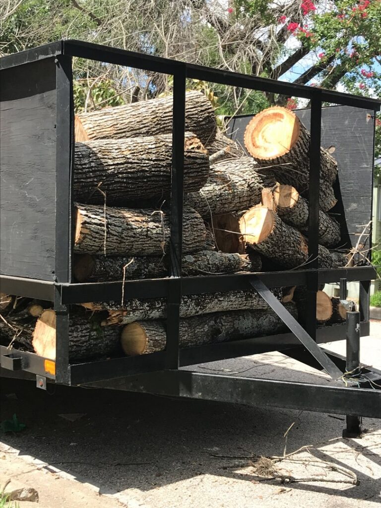 A trailer filled with freshly cut logs and branches, ready for hauling away after tree removal services in Austin, TX by Ozark of Austin.