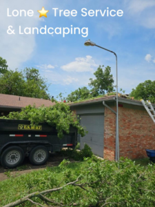 A trailer full of tree branches and debris after a tree service cleanup by Lone Star Tree Service & Landscaping in Fort Worth, TX.
