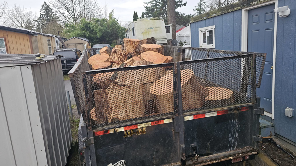 A utility trailer filled with cut tree logs and debris, ready for removal by Can Do Andrew in Gresham, OR.