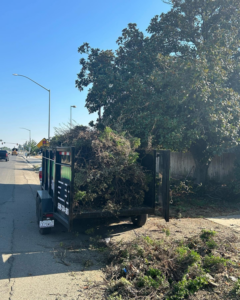 A trailer filled with yard waste, branches, and shrubs after a cleanup by Fresno Hauling Heroes Junk Removal in Fresno, CA.
