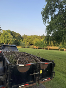 A trailer loaded with tree branches and wood debris, ready for hauling by JR's Rapid Junk Removal in Cary, NC