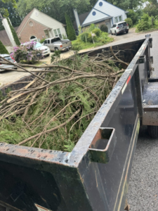 A trailer filled with tree branches and green yard debris for removal by JR's Rapid Junk Removal in Cary, NC