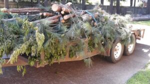 A trailer loaded with cut tree branches and logs for debris removal by TW's Tree Service in Memphis, TN.