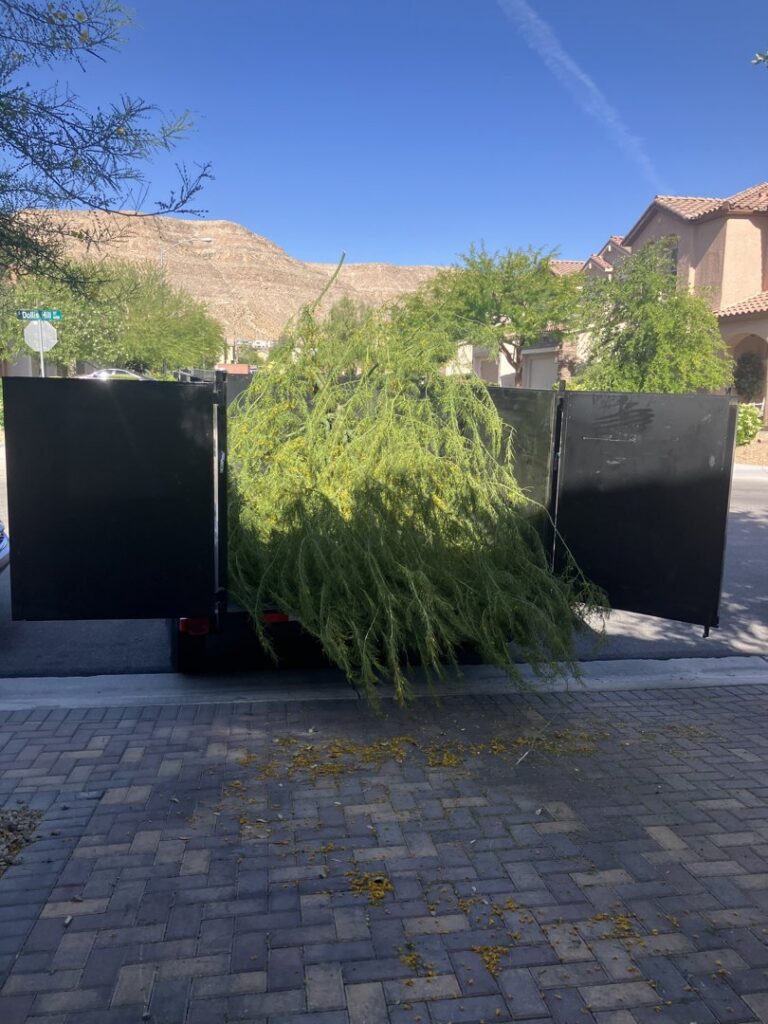 A utility trailer loaded with green waste and tree branches, demonstrating yard debris removal by MGM Junk Removal in Las Vegas, NV