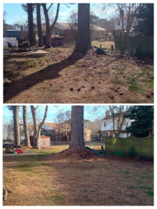 Before and after of tree base cleanup and debris removal by Infinity Lawncare & Contracting LLC in Newport News, VA.