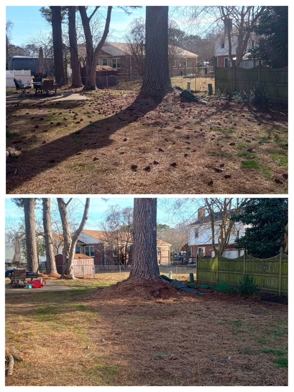 Before and after of tree base cleanup and debris removal by Infinity Lawncare & Contracting LLC in Newport News, VA.