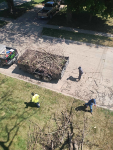 A tree service crew cleaning up and loading branches into a trailer for Javier Medina Tree Service LLC in DrDenison, IA.