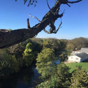 A view from a tree branch, freshly cut, overlooking a river and houses, by Butler's Tree Service in Point of Rocks, MD.