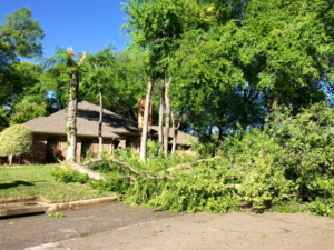 Tree branches and logs piled on a street after tree removal or storm cleanup by Personal Touch Tree Service in Dallas, TX.