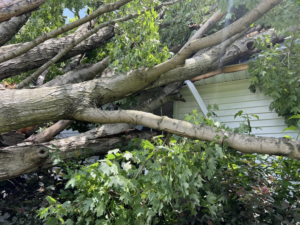 Close-up of tree branches fallen on a house roof, indicating storm damage for Hardin County Tree Service LLC Kentucky in Elizabethtown, KY.