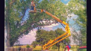 A tree care specialist operating a bucket truck to work on a tree for Moore's Tree Service in East Hanover, NJ.
