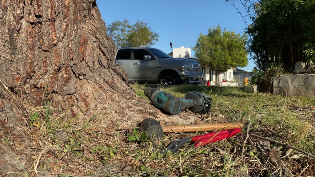 Tree care tools and equipment on the ground near a tree trunk, used by Valley Tree Masters in Chandler, AZ