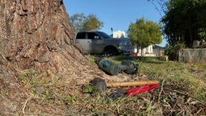 Tree care tools and equipment on the ground near a tree trunk, used by Valley Tree Masters in Chandler, AZ