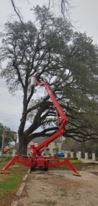 An aerial lift extended into a tall tree for professional tree care services by GrowGreen Professional Tree Service in Baton Rouge, LA.