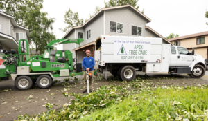 A tree care worker with a chainsaw next to an Apex Tree Care LLC truck and wood chipper in Wasilla, AK.
