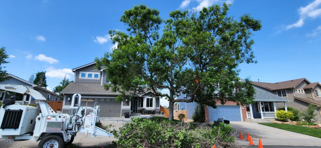 A tree chipper in operation during a tree trimming job by Riverdale Tree Services in Northglenn, CO.