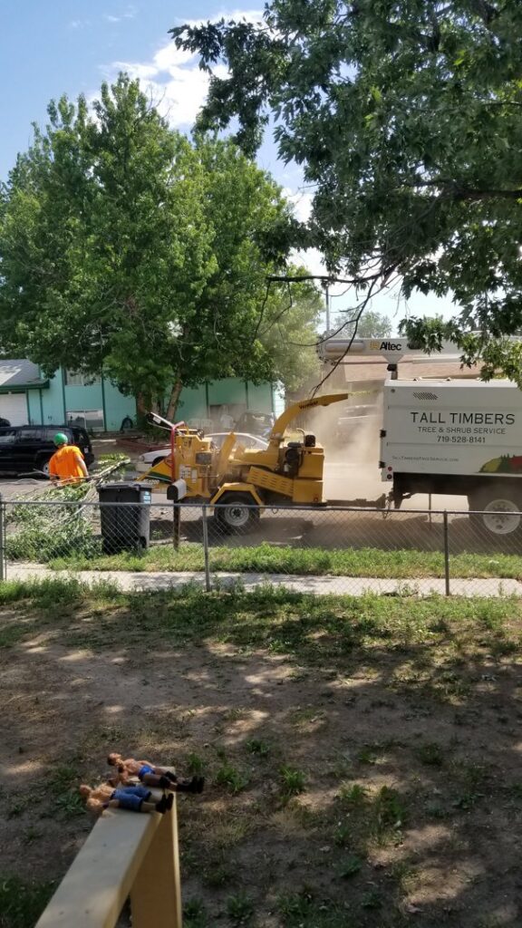 A worker feeding branches into a tree chipper for disposal by Tall Timbers Tree & Shrub Service in Colorado Springs, CO.